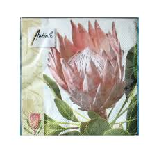 Robas Napkins Protea 115g